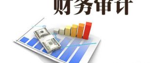 企業(yè)為什么要做財(cái)務(wù)審計(jì)？