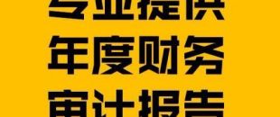 財(cái)務(wù)報(bào)表審計(jì)報(bào)告的費(fèi)用是多少？